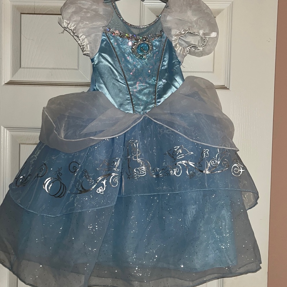 Cinderella costume dress